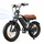 EB5Max 20 Zoll Fat Tire Retro E-Bike