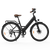 Tiefeinsteiger E-Bike