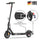 E9 Aufgerüstet E-Scooter Mit Straßenzulassung Mit Doppelfederung